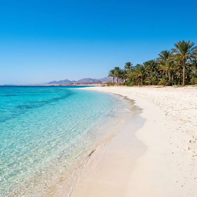 Pickalbatros Marsa Alam